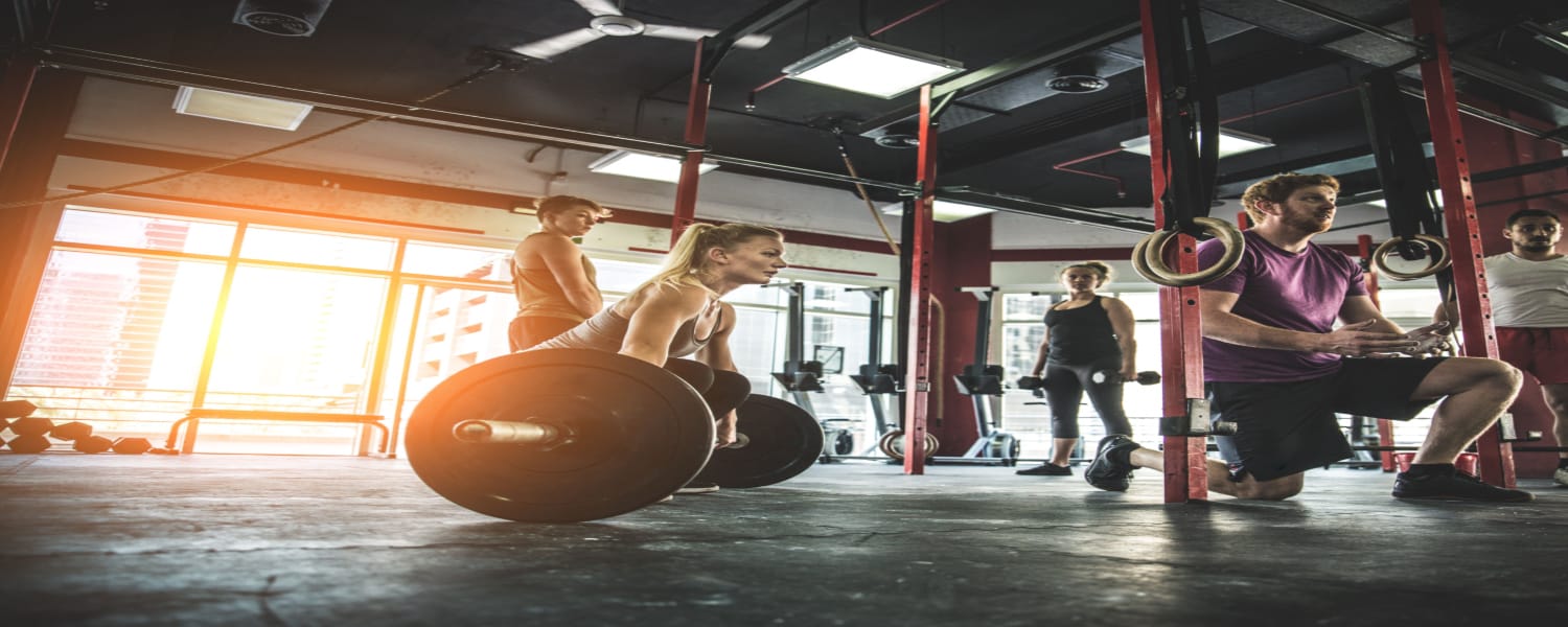 Gym Equipment Repair Aurora IL