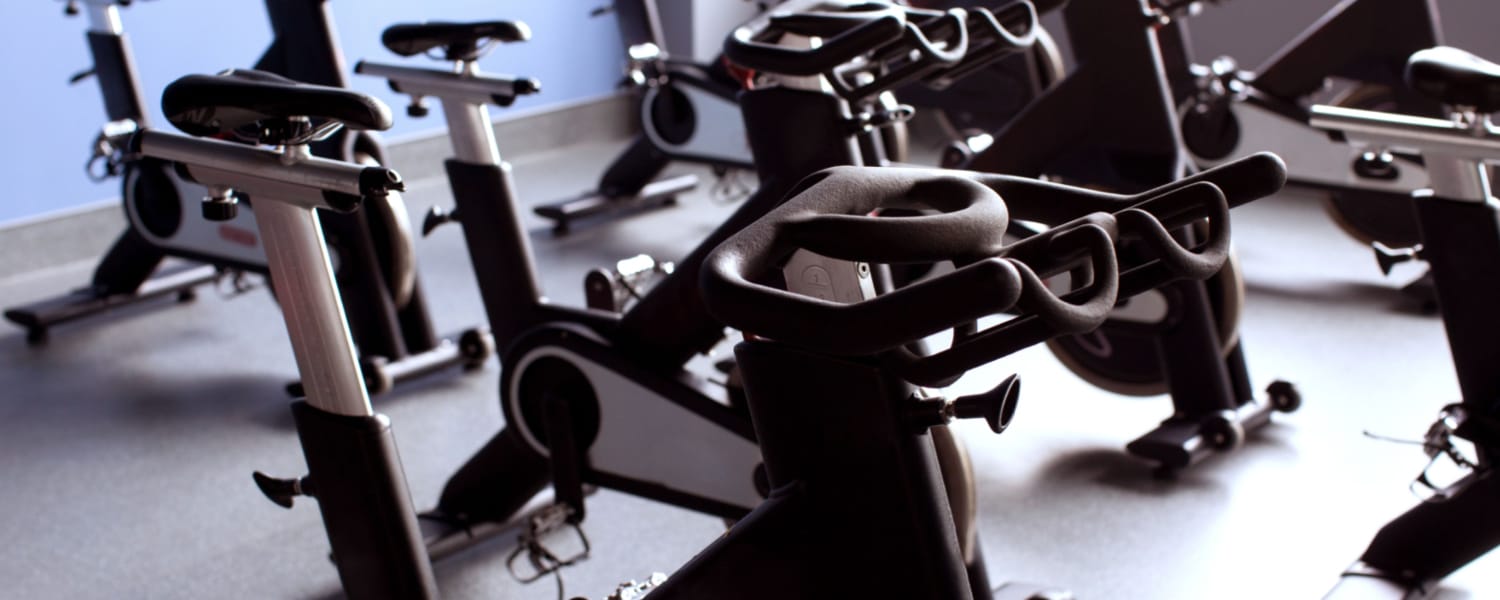 Arlington Heights Fitness Equipment